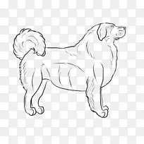 狗繁殖线艺术画-狗