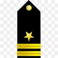 美国海军军官军衔徽章陆军军官军衔