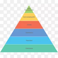 马斯洛的需求层次-三角金字塔