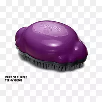 毛刷梳状刚毛结-紫色