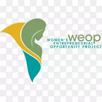 妇女创业机会项目公司非营利性机构营销小企业营销