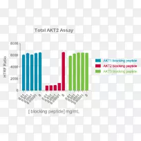 蛋白激酶b AKT 3 Akt 2 mTOR-pleckstrin同源结构域
