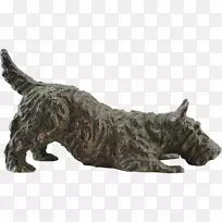 凯恩猎犬，苏格兰猎犬，塞斯基猎犬，小型雪纳瑞犬品种-古董