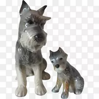 小型雪纳瑞犬，苏格兰小猎犬，标准雪纳瑞犬，巨型雪纳瑞犬-小狗