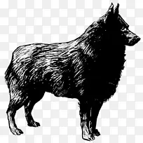 Schipperke猎犬比利时牧羊犬malinois狗