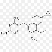 甲氧苄啶/磺胺甲恶唑二氢叶酸还原酶