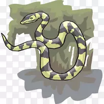 蛇形蛇下载剪辑艺术-蛇