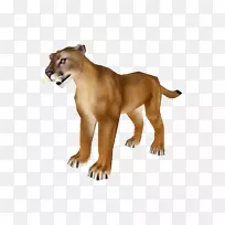 美洲狮大猫陆生动物-猫