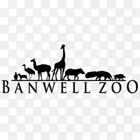 谷歌标志动物园大亨2-长颈鹿