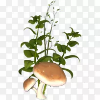 植物茎花盆设计