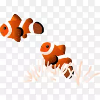 热带鱼金鱼水族馆-鱼类