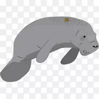 海牛生海洋杜公熊