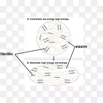 线角字形线