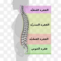 脊柱中立型脊柱腰椎管狭窄症