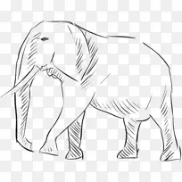 印度象非洲象画剪影剪贴画剪影