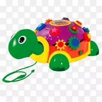 海龟教育玩具幼儿-海龟