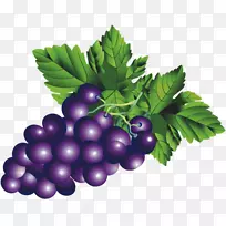 普通葡萄浆果葡萄