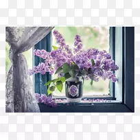 窗台窗帘百合花紫丁香窗