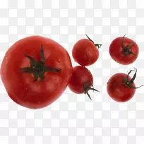 李子番茄灌木丛番茄汤食品-番茄