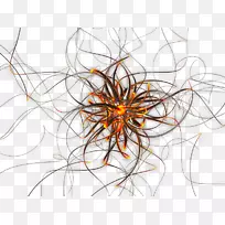 神经元计算机网络人工神经网络绘制