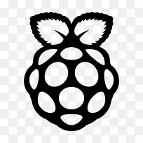 raspberry pi 3安装计算机机箱和外壳薄客户端