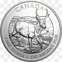 加拿大金币加拿大野生动物皇家加拿大造币银币-加拿大