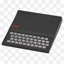 ZX81 ZX打印机Sinclair Research Timex Sinclair 1000 ZX频谱-计算机