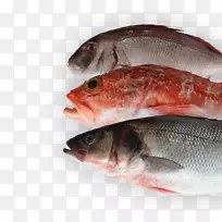 北红笛鲷鱼产品09777油性鱼鲑鱼鱼