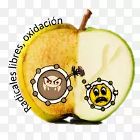 苹果素食美食自由基氧化还原-苹果