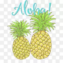 菠萝热带水果夏威夷片菠萝
