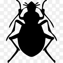 甲虫防虫计算机图标棕色马氏体臭虫甲虫