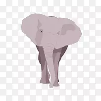 印度象非洲象粉红色野生动物大象