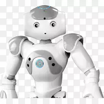 NAO仿人机器人社会机器人软银机器人公司-机器人