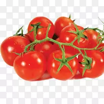 番茄蔬菜土豆食品水果-番茄