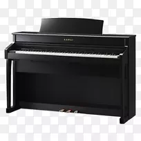 川外乐器数码钢琴键盘动作-钢琴