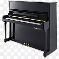 立式钢琴Blüthner Steinway&儿嘉威乐器-钢琴