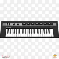 数字钢琴电子钢琴Nord Electro Yamaha公司声音合成器键盘