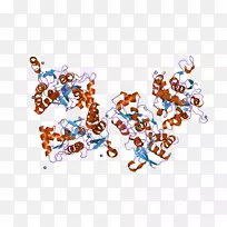 GARA 2 NOS 1型离子致性谷氨酸受体一氧化氮合酶配体-门控离子通道