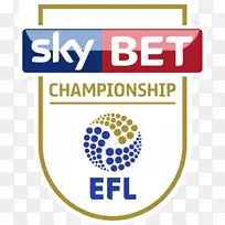 2017年的今天，18届EFL锦标赛、英国足球联盟、英超联赛、Efl联赛、阿斯顿别墅有限公司。-超级联赛