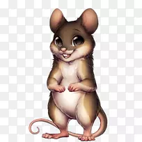 睡鼠须黑鼠