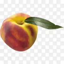 杏子油桃食桃子杏