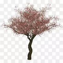 梅花树枝条剪贴画树