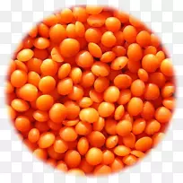 豆豆
