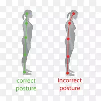 中立脊柱不良姿势站立人体脊柱