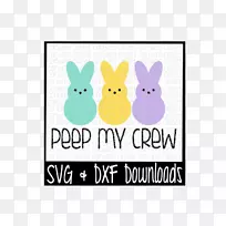 纸AutoCAD DXF