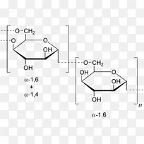 葡聚糖-α-葡聚糖多糖碳水化合物