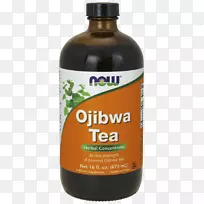 绿茶草本茶Ojibwe膳食补充剂-茶