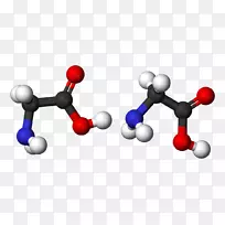 甘氨酸分子缩合反应氨基酸丝素