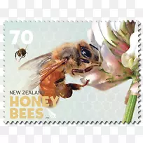 蜜蜂新西兰邮票-蜜蜂