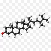 孕酮类固醇激素分子孕激素
